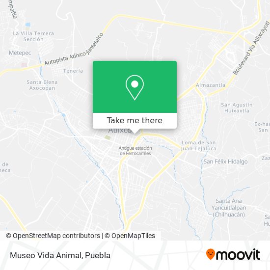 Mapa de Museo Vida Animal