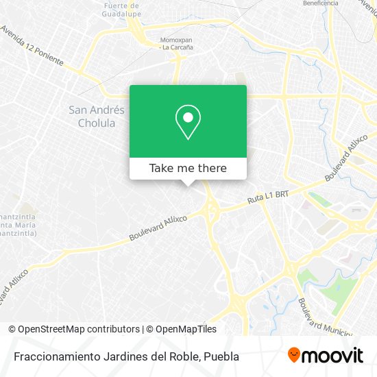 Fraccionamiento Jardines del Roble map