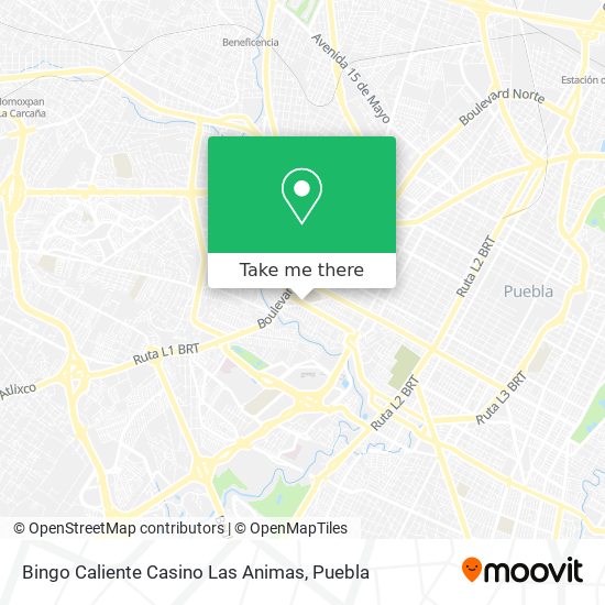 Bingo Caliente Casino Las Animas map