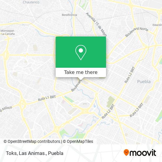 Toks, Las Animas. map