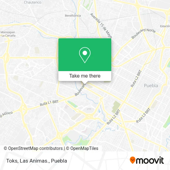 Toks, Las Animas. map