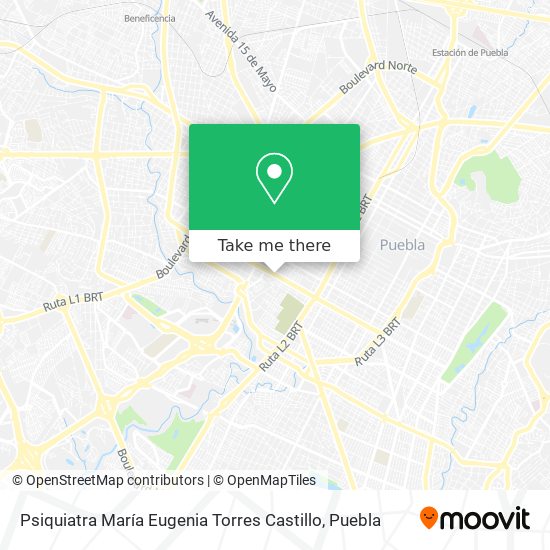 Mapa de Psiquiatra María Eugenia Torres Castillo