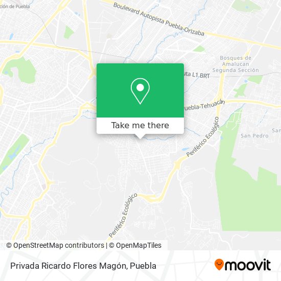 Mapa de Privada Ricardo Flores Magón