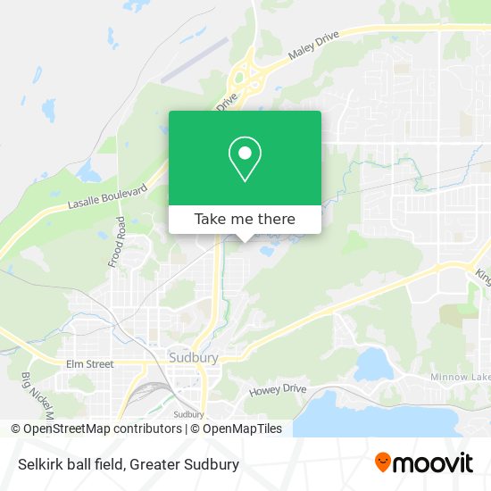 Selkirk ball field map