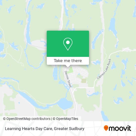 Learning Hearts Day Care plan