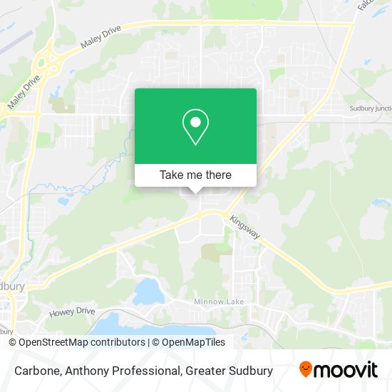 Carbone, Anthony Professional plan