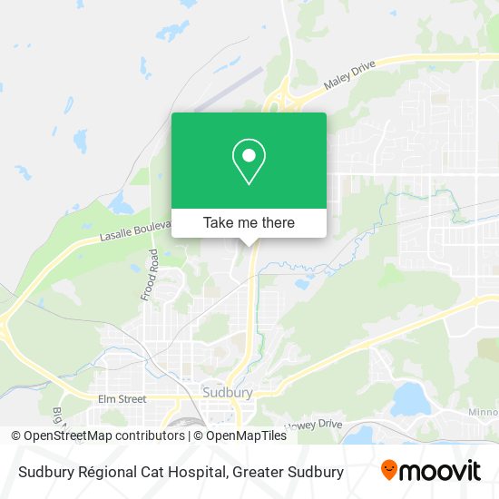 Sudbury Régional Cat Hospital map