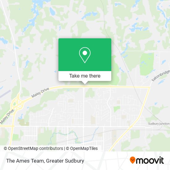 The Ames Team plan