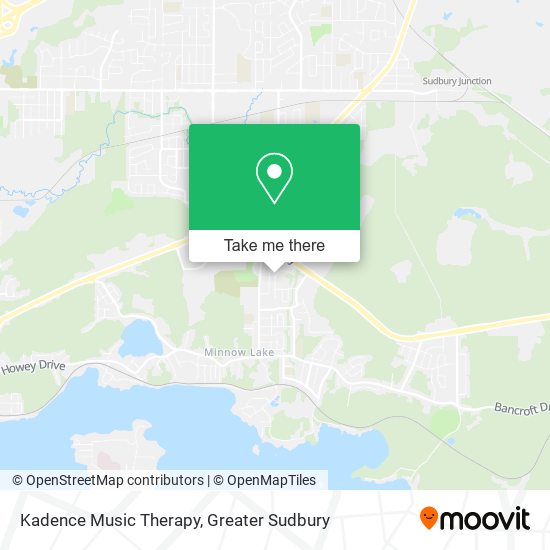 Kadence Music Therapy plan