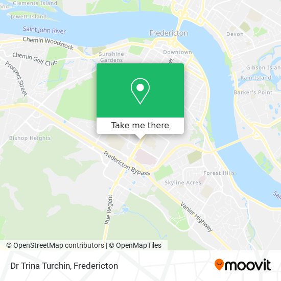 Dr Trina Turchin plan
