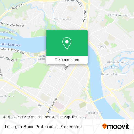 Lunergan, Bruce Professional map