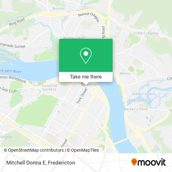 Mitchell Donna E map