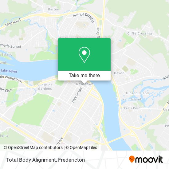 Total Body Alignment map