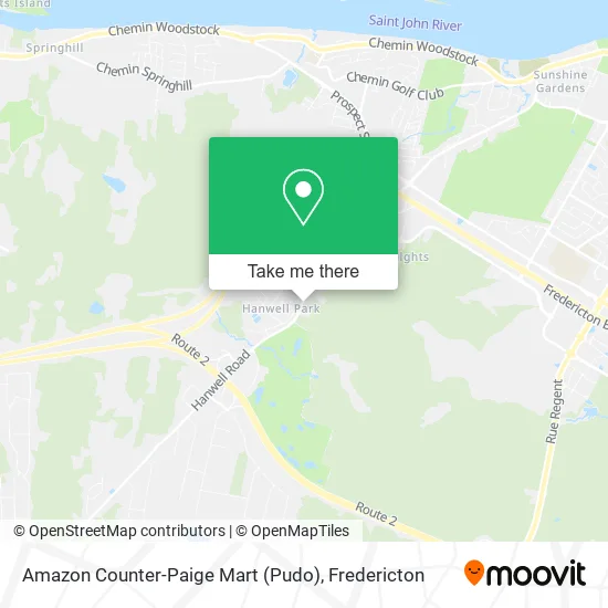 Amazon Counter-Paige Mart (Pudo) map
