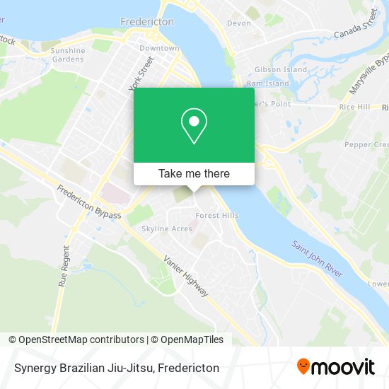 Synergy Brazilian Jiu-Jitsu map