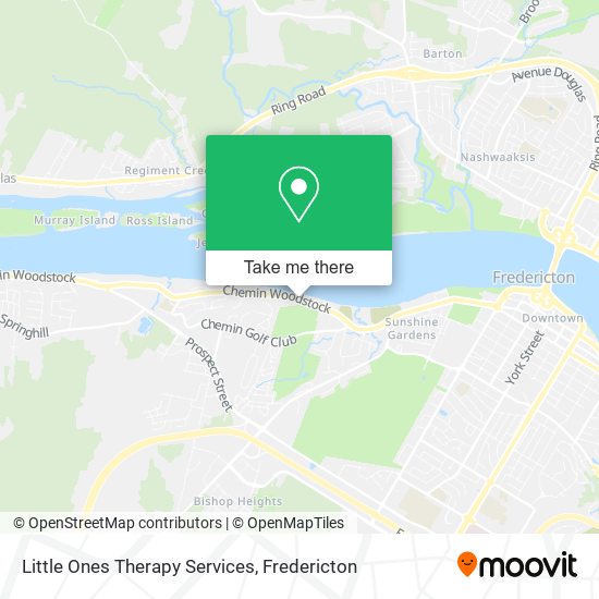 Little Ones Therapy Services map