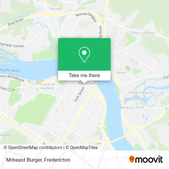 Mrbeast Burger plan