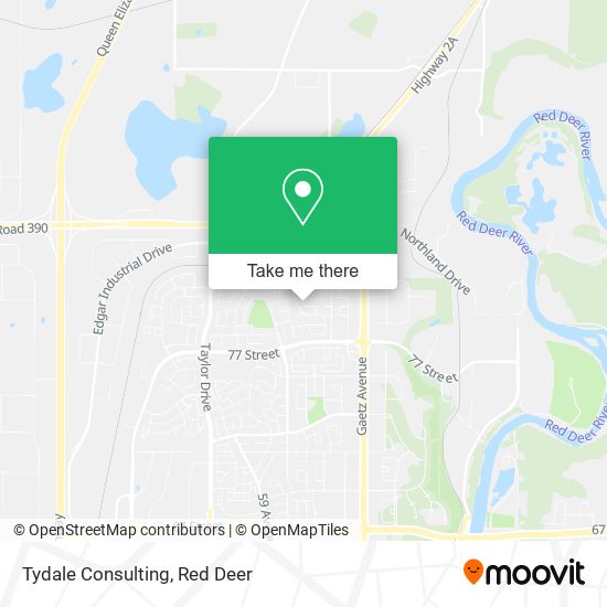 Tydale Consulting plan