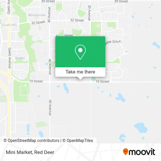 Mini Market map