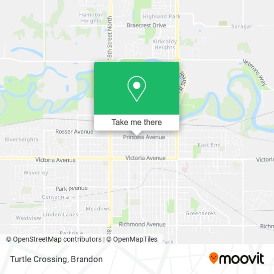Turtle Crossing plan