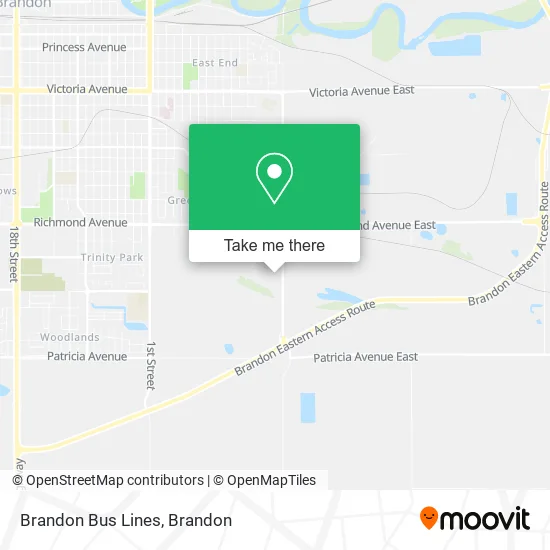 Brandon Bus Lines map