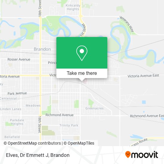 Elves, Dr Emmett J plan
