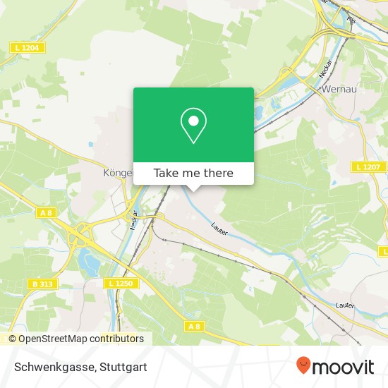 Карта Schwenkgasse