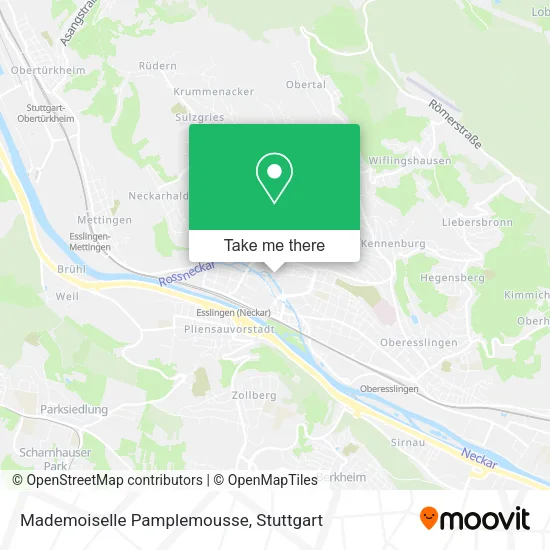 Карта Mademoiselle Pamplemousse