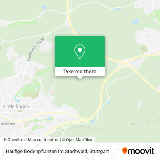Häufige Bodenpflanzen Im Stadtwald map