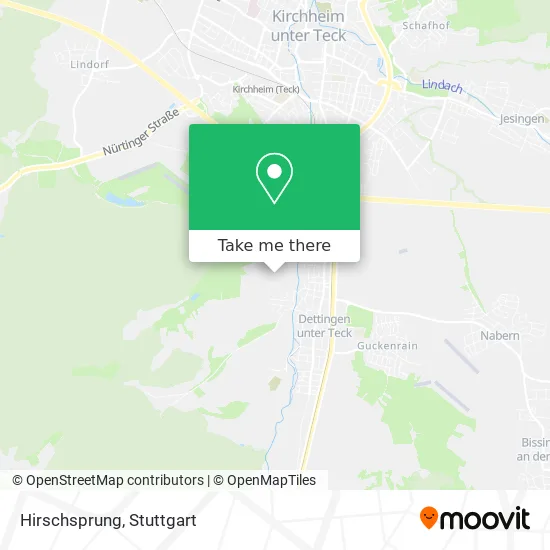 Карта Hirschsprung