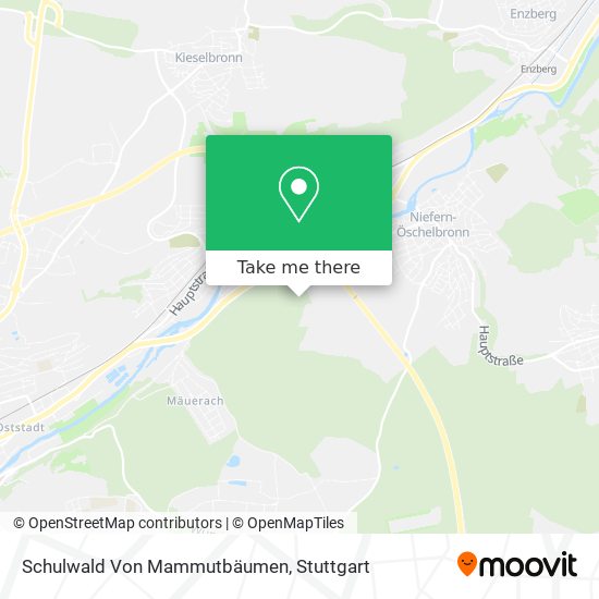 Schulwald Von Mammutbäumen map