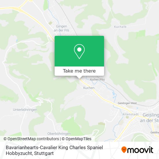 Карта Bavarianhearts-Cavalier King Charles Spaniel Hobbyzucht
