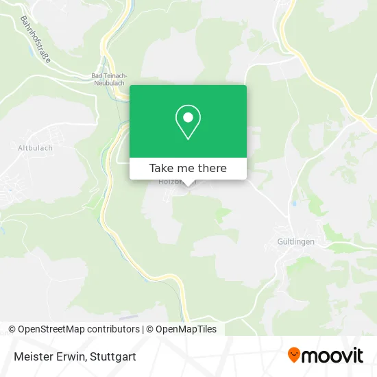 Карта Meister Erwin