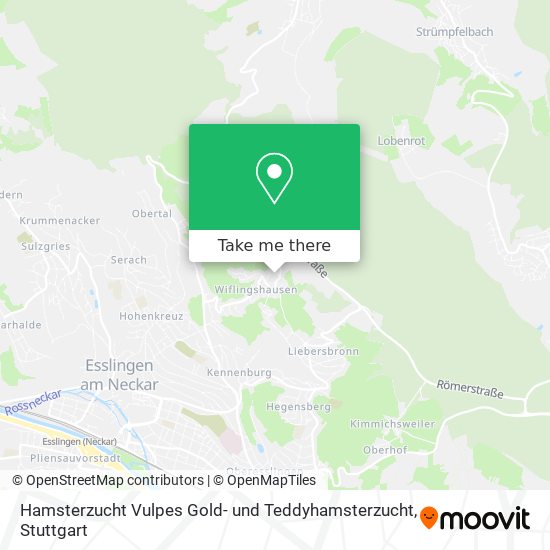 Карта Hamsterzucht Vulpes Gold- und Teddyhamsterzucht