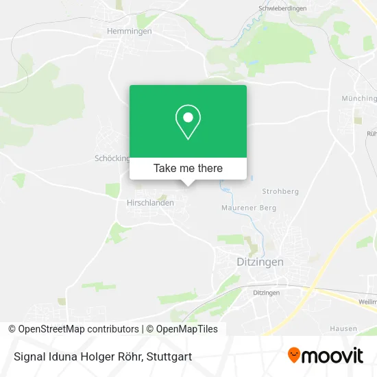 Карта Signal Iduna Holger Röhr