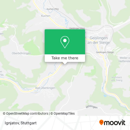 Ignjatov map