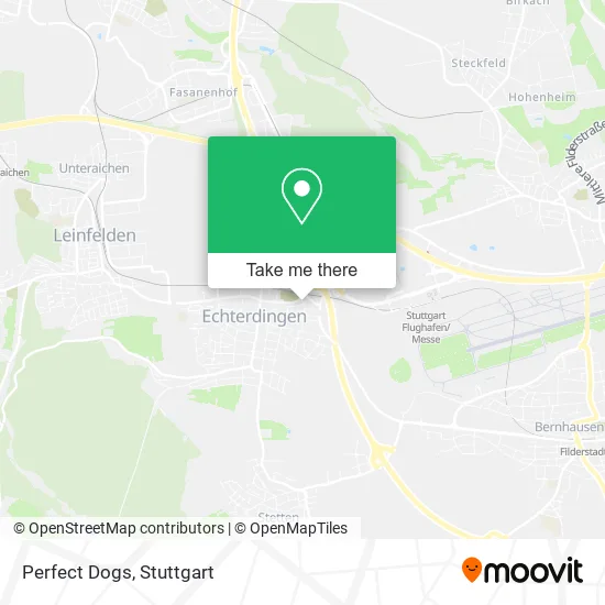 Карта Perfect Dogs