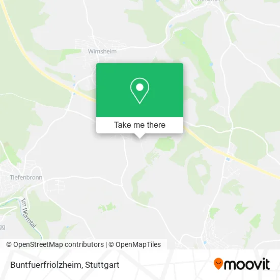 Карта Buntfuerfriolzheim