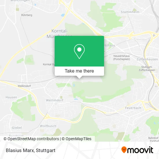 Карта Blasius Marx