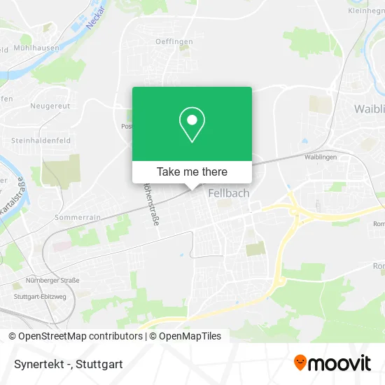 Карта Synertekt -