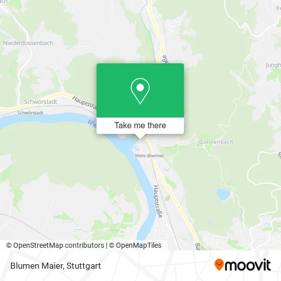 Карта Blumen Maier