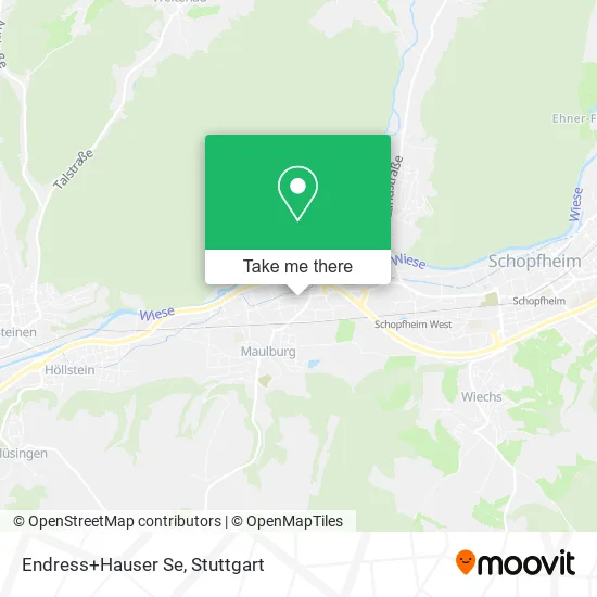Endress+Hauser Se map
