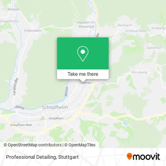 Карта Professional Detailing