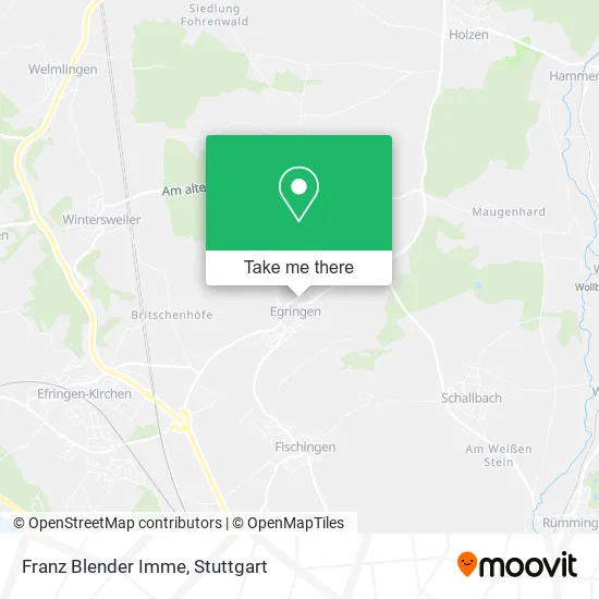 Карта Franz Blender Imme
