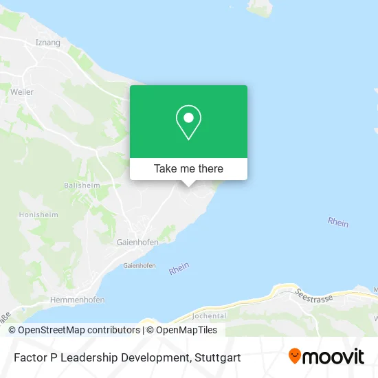 Factor P Leadership Development map