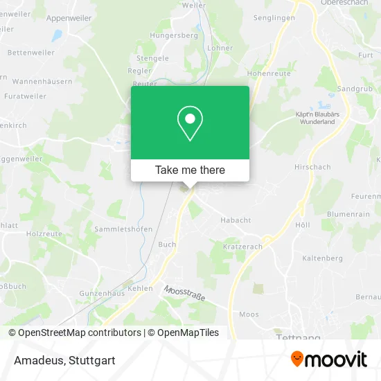 Карта Amadeus
