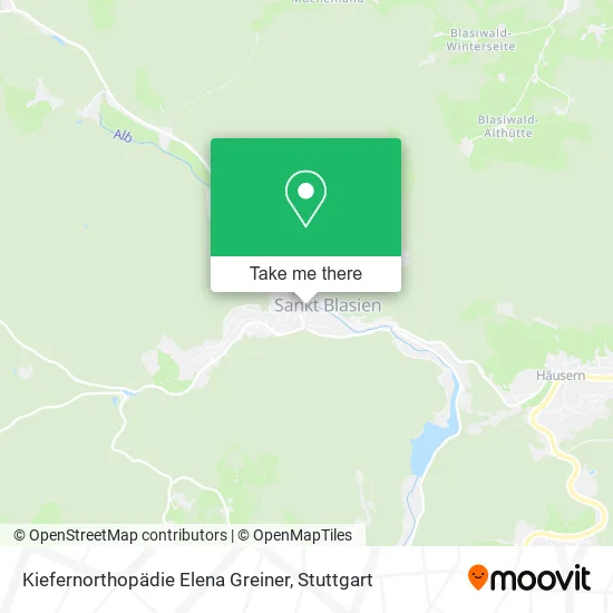Карта Kiefernorthopädie Elena Greiner