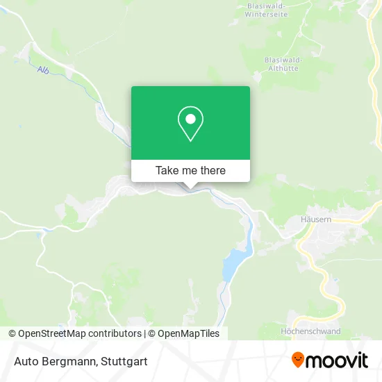 Auto Bergmann map