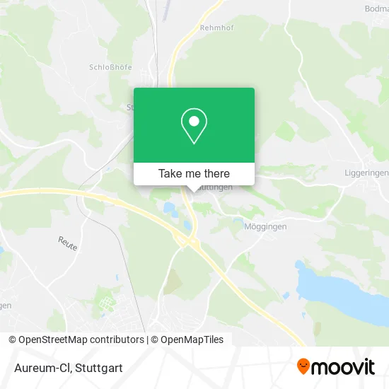 Карта Aureum-Cl