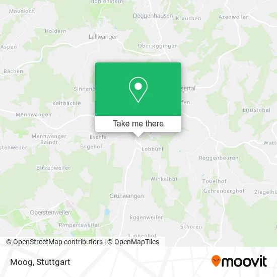 Карта Moog